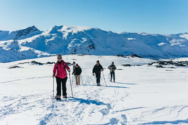 From Tromsø: Snowshoeing Hike with Picnic Lunch and Photos - Starting Point at the Scandic Ishavshotel in Tromsø