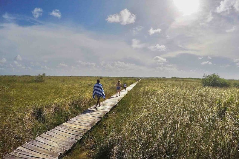 From Tulum: Sian KaAn Muyil Lagoon Tour - Starting Point and Transportation Details