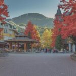 From Vancouver: Whistler and Shannon Falls Private Day Trip - Starting Point: Hotel Pick-up and Private Transportation
