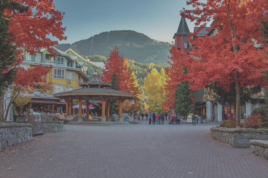 From Vancouver: Whistler and Shannon Falls Private Day Trip - Starting Point: Hotel Pick-up and Private Transportation