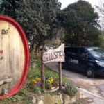 From Venice: Wine Tour in the Euganean Hills - Tasting Local Wines Paired with Typical Products
