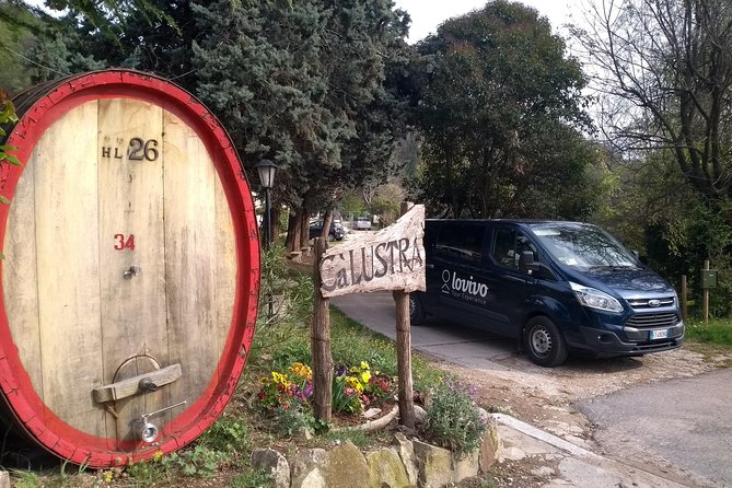 From Venice: Wine Tour in the Euganean Hills - Tasting Local Wines Paired with Typical Products