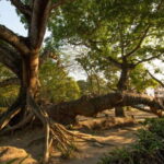 From Veracruz: La Antigua & San Juan de Ulúa Tour - Visiting La Antigua: The First European Village