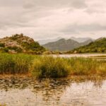 From Virpazar: Visit Karu, the hidden pearl of Lake Skadar - Birdwatching Near the Moraca River and Bird Sanctuary