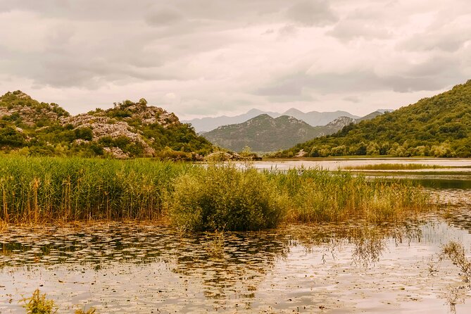 From Virpazar: Visit Karu, the hidden pearl of Lake Skadar - Birdwatching Near the Moraca River and Bird Sanctuary