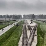 From Warsaw: Auschwitz-Birkenau Guided Tour with Fast Train - Convenient Travel with a Focus on Respectful Education