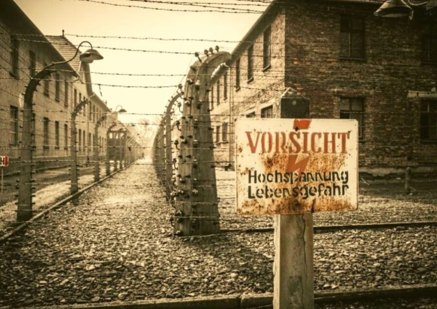 From Warsaw: Auschwitz Day Tour by Private Car with Lunch - The Guided Tour of Auschwitz and Birkenau