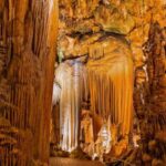 From Washington DC: Day Trip to Luray Caverns - Pick-Up and Transportation from Washington DC