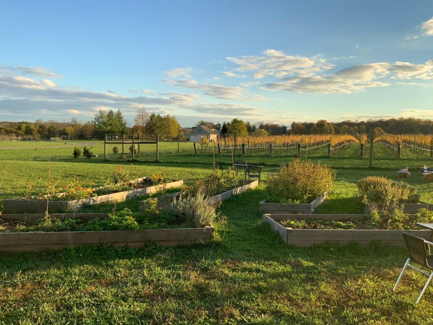 From Washington, DC: Virginia Wine Country Private Day-Trip - Luxury Transport and Custom Pick-Up in Washington, DC