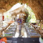 Fuerteventura Aloe & Olivo Tour with Optional Lunch - Verdeaurora: The Heart of Fuerteventura’s Agriculture