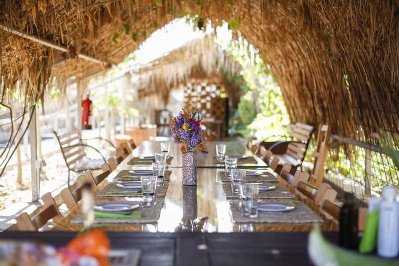 Fuerteventura Aloe & Olivo Tour with Optional Lunch - Verdeaurora: The Heart of Fuerteventura’s Agriculture