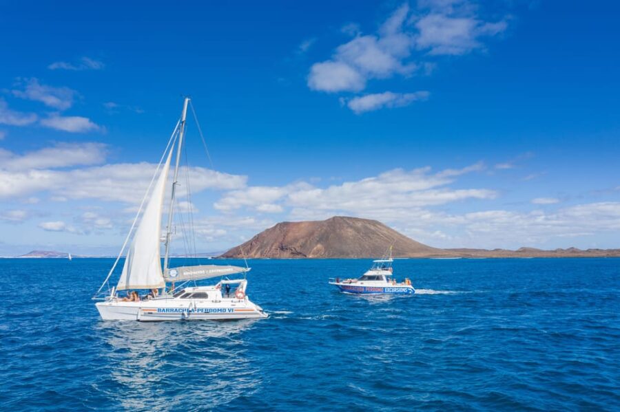 Fuerteventura : Catamaran excursion to Lobos Island - Starting Point at Corralejos Barracuda Perdomo