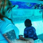 Fuerteventura: Glass Bottom Boat Cruise with Lunch & Drinks - Departure from South Fuerteventura Hotels to Janía Natural Park