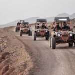 Fuerteventura: Jandía Natural Park & The Puertito Buggy Tour - How the Tour Guides Explain and Lead