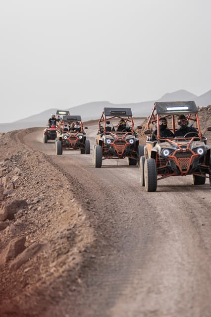 Fuerteventura: Jandía Natural Park & The Puertito Buggy Tour - How the Tour Guides Explain and Lead