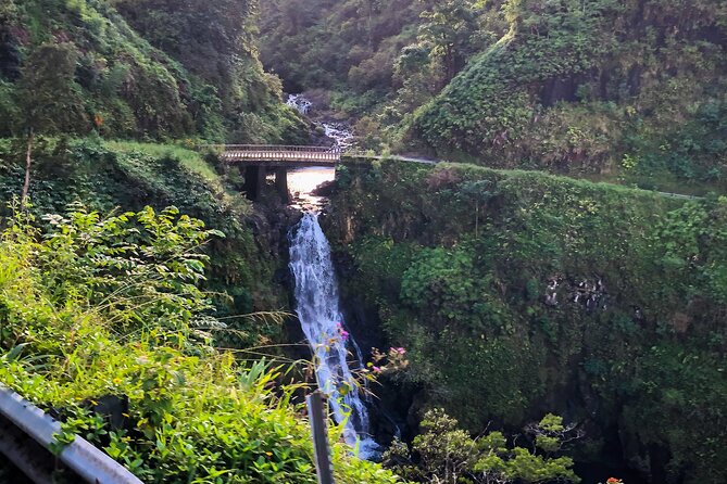 Full-Circle "Reverse" - Luxury Road to Hana Tour from West Maui - Exploring the Waterfalls and Rainforests