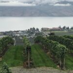 Full Day 4 Wineries Mission Hill & Quails Gate With Lunch Stop* - Visiting Mission Hill Family Estate Winery