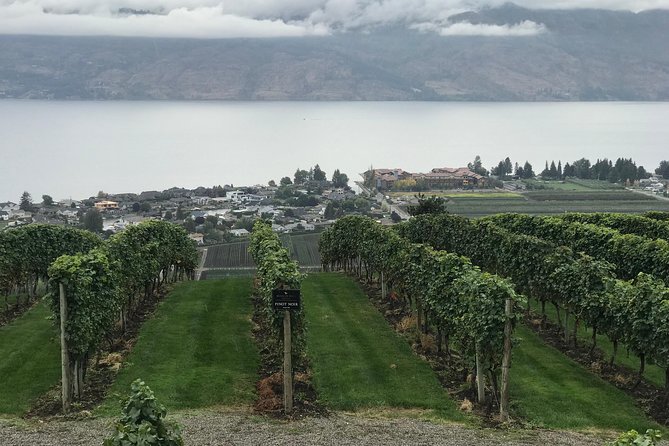 Full Day 4 Wineries Mission Hill & Quails Gate With Lunch Stop* - Visiting Mission Hill Family Estate Winery