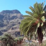 Full Day Across the Island Tour from Las Palmas - Panoramic Views from Pico de las Nieves