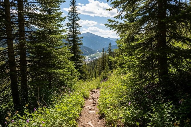Full Day Adventure in the Heart of the San Juan Mountains - From Durango to the Heights of Molas Pass
