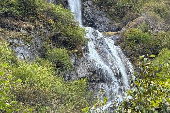 Full Day Anchorage Tour with Alaskan Guide - Reflecting on Anchorage’s Earthquake Past at Earthquake Park