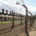 Full-Day Auschwitz-Birkenau and Salt Mine from Krakow - Whispers of History at Auschwitz-Birkenau