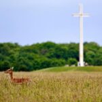 Full-day Award Winning Private Dublin City Highlights Tour - Experience the Sights in a Private Vehicle with Wi-Fi