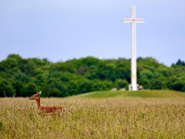 Full-day Award Winning Private Dublin City Highlights Tour - Experience the Sights in a Private Vehicle with Wi-Fi