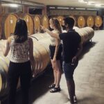 Full day Barolo&Barbaresco Wine Tour from Torino with a local winemaker - Visit to a Family-Run Winery in Barolo’s District