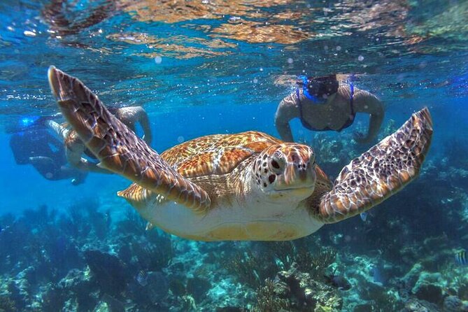 Full Day Boat Tour with Open Bar and Lunch in Riviera Maya - Departure and Meeting Point Details in Cancun