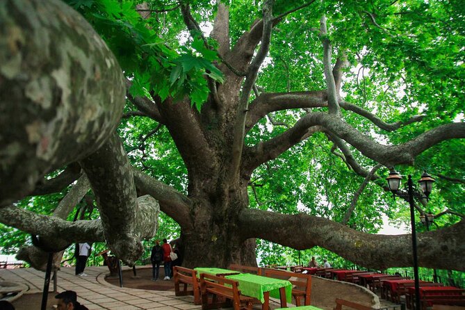 Full Day Bursa Tour from Istanbul(with cable car) - Starting from Istanbul to Bursa’s Natural and Urban Wonders