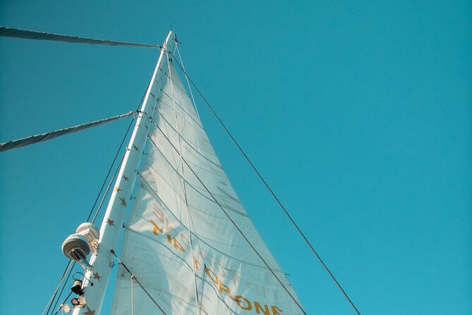 Full-Day Catamaran Cruise with Lunch in Island of Malta - Spacious, Well-Equipped Catamaran: "Tip Top One"