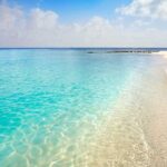 Full-Day El Cielo Snorkel Tour in Cozumel with Transportation and Lunch - Convenient Transportation and Meeting Details