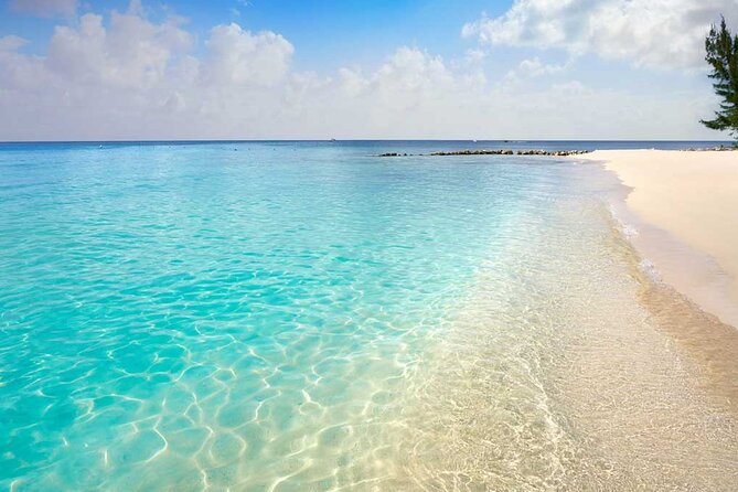 Full-Day El Cielo Snorkel Tour in Cozumel with Transportation and Lunch - Convenient Transportation and Meeting Details