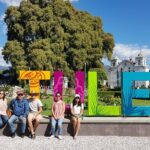 Full-Day El Tule, Mitla & Hierve el Agua Tour from Oaxaca - Visiting the Tule Tree: The Widest Tree in the World
