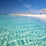 Full Day Elafonissi Beach & Honey Tour - Logistics and Group Comfort