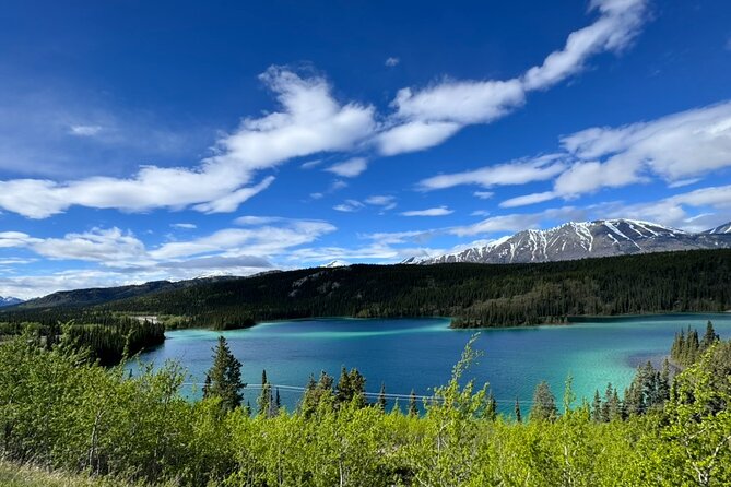 Full Day Emerald Lake Tour with or without Huskies - The Guide’s Deep Local Knowledge Enhances Every Moment