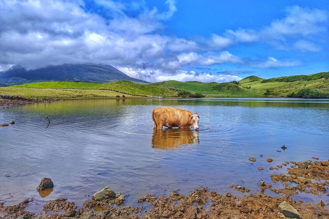 Full-Day Guided Tour in Pico Island - Visiting the Casa dos Vulcões and Earthquake Simulator