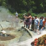 Full Day Guided Tour to Furnas with Lunch Included - Visiting the Porto Formoso Tea Factory and Plantations