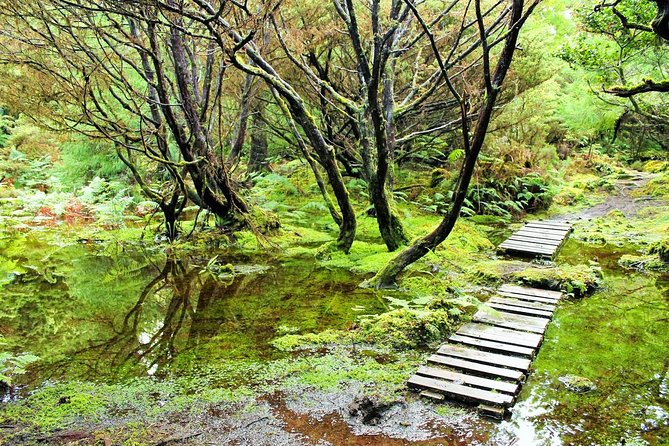 Full-Day Hiking Tour in Terceira Island - Mistérios Negros - Explore Terceira’s Dramatic Volcanoes and Lakes on a Full-Day Hiking Adventure