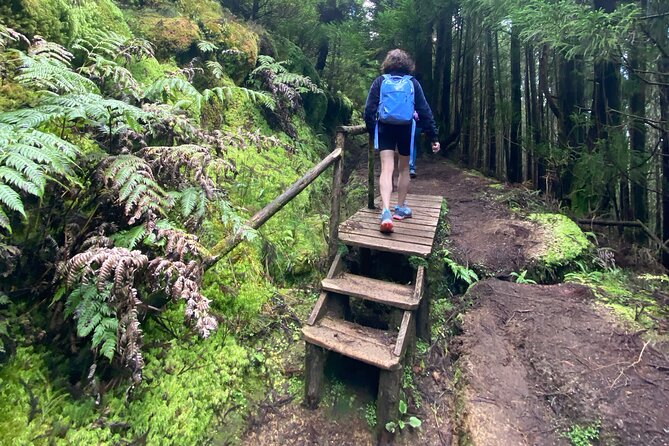 Full Day Hiking Trail Sete Cidades and Ferraria - Walking Through Pastoral Landscapes and Forests