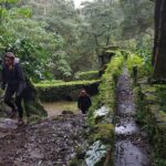 Full Day Hiking Trail Waterfalls- in Lomba de São Pedro - Azores - Discovering Historic Watermills and Natural Springs