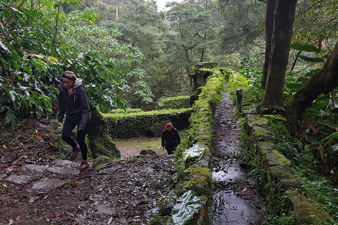 Full Day Hiking Trail Waterfalls- in Lomba de São Pedro - Azores - Discovering Historic Watermills and Natural Springs