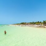 Full Day Holbox Island Tour from Playa del Carmen with Lunch - Starting Point and Early Departure from Playa del Carmen