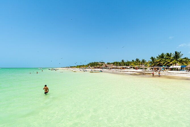 Full Day Holbox Island Tour from Playa del Carmen with Lunch - Starting Point and Early Departure from Playa del Carmen