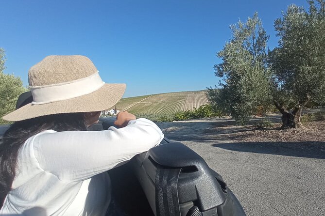 Full day in Cordoba between Vineyards and Olive Trees with a Convertible Car - Visiting the Olive Oil Tasting in Montilla’s Scenic Setting