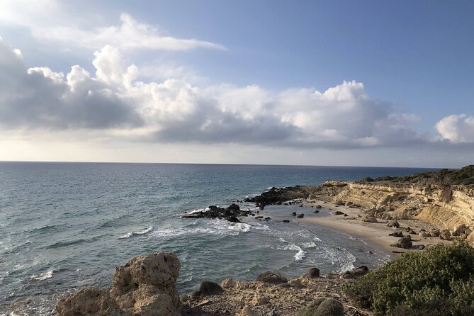 Full-Day Jeep Safari in Kos and Kefalos with Lunch - Discovering Plaka Forest: Nature’s Green Escape