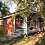 Full Day Lapland Tour, including Lunch and Dinner - Finnish Sauna and Arctic Lake Swimming Experience