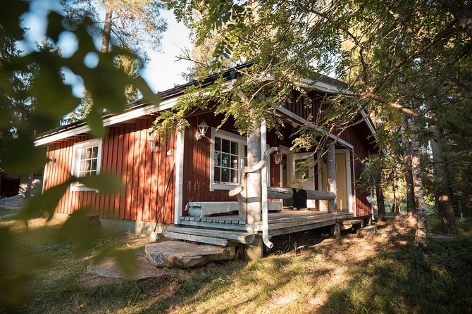 Full Day Lapland Tour, including Lunch and Dinner - Finnish Sauna and Arctic Lake Swimming Experience