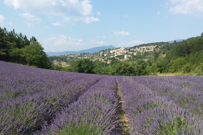 Full day lavender tour Luberon and Sault - Starting Point and Tour Duration in Avignon